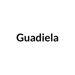 Logo Guadiela electricitat